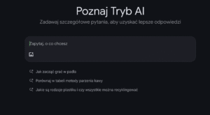ai overview